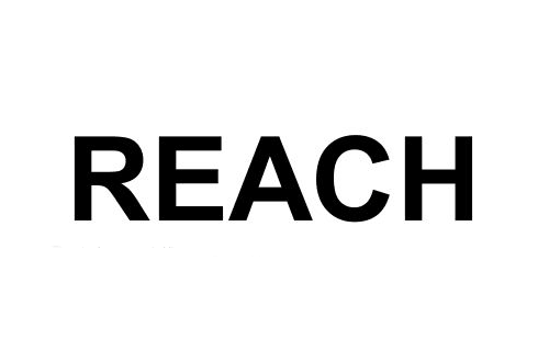 REACHʲô